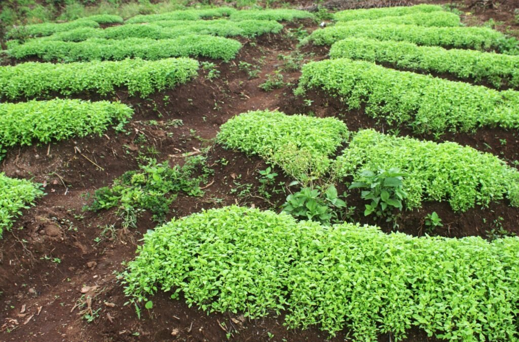 545861432 122177375198487913 8161428133884021134 n