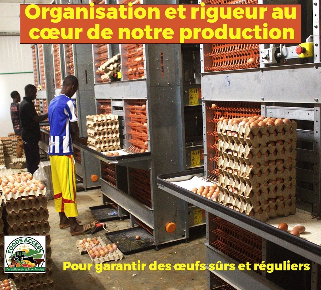 carrousel 16 janvier 4 44