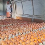 carrousel de présentation 7