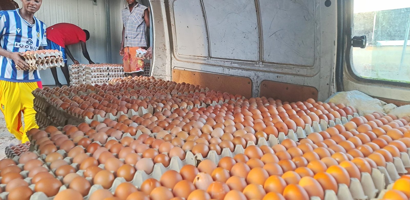 carrousel de présentation 7