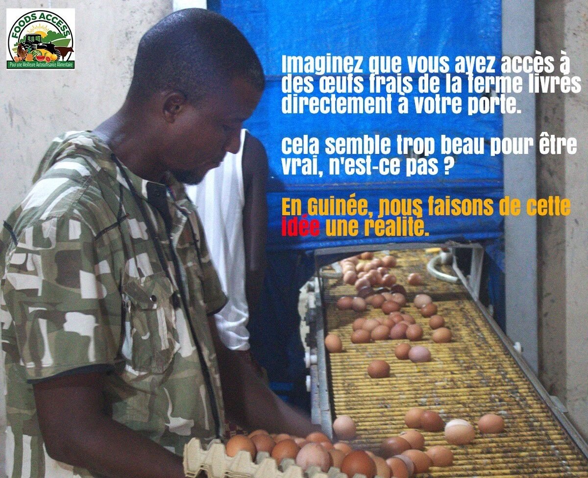 photo site du 12 fevrier