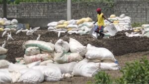 Fertiliser l&rsquo;Avenir : Les Fientes de Poules de Foods Access Boostent l&rsquo;Agriculture en Guinée