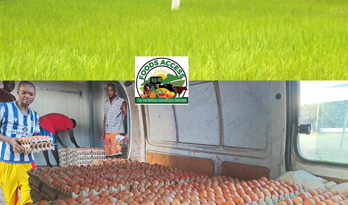 Combattre la faim et faire progresser l&rsquo;autosuffisance alimentaire : Le travail transformateur d’une entreprise locale