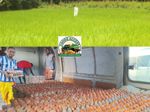 Combattre la faim et faire progresser l&rsquo;autosuffisance alimentaire : Le travail transformateur d’une entreprise locale