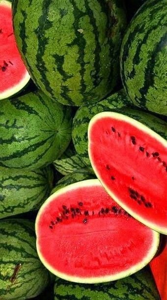 pastèque 1