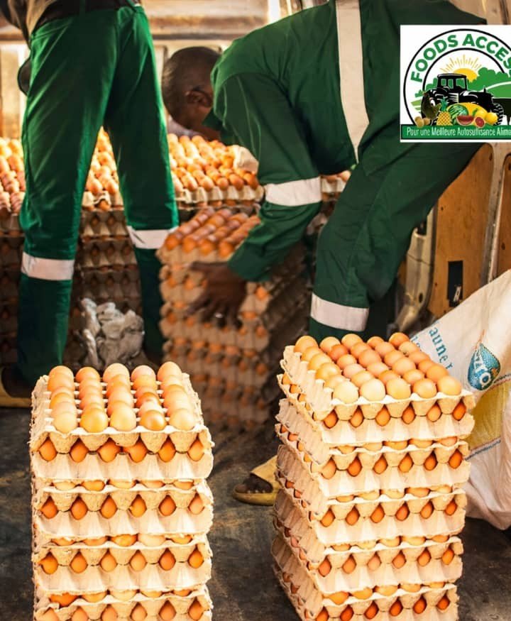 photo illustration article site