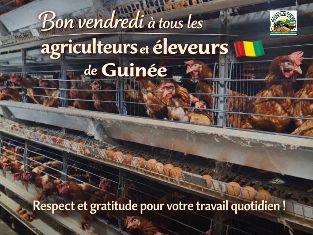 Investir pour la Guinée, même sans aide
