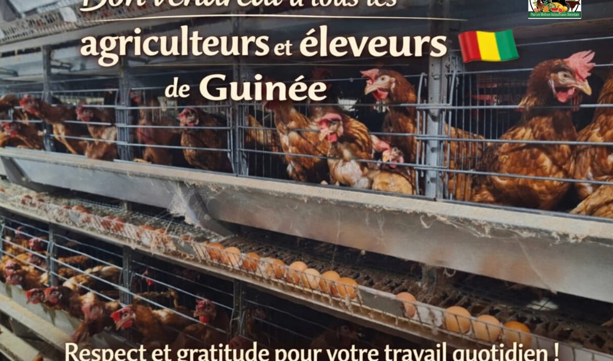 Investir pour la Guinée, même sans aide