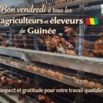 Investir pour la Guinรฉe, mรชme sans aide bon vendredi et logo fini