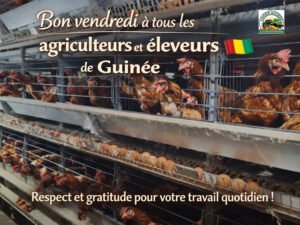 Investir pour la Guinée, même sans aide