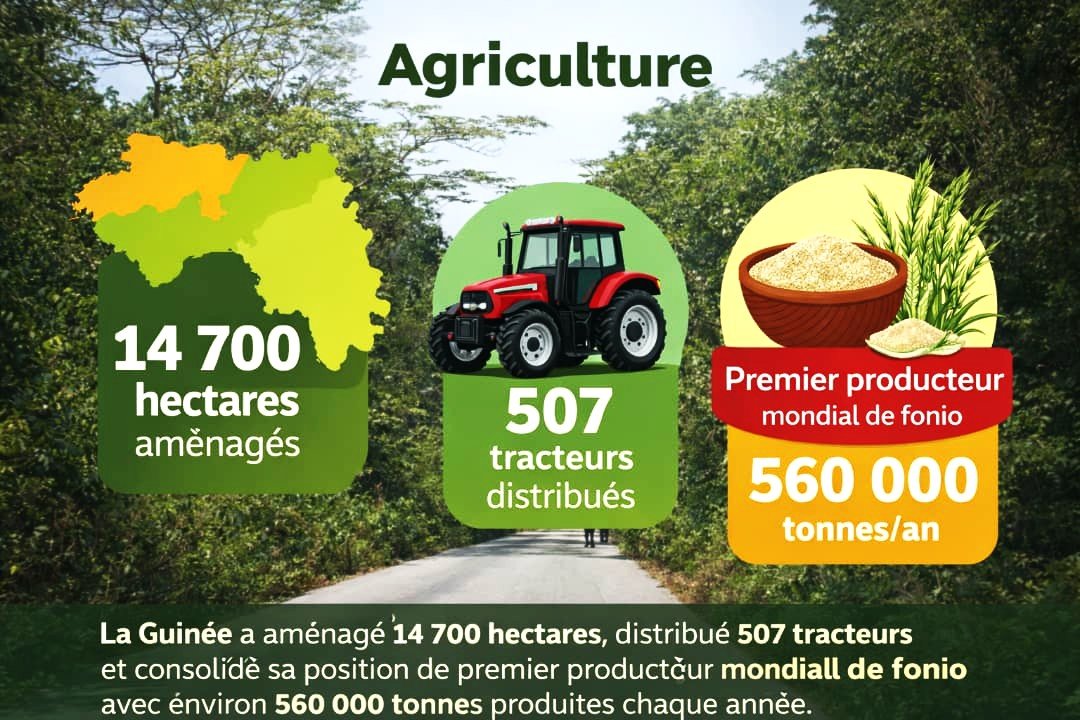 ๐ฆ๐ข๐จ๐ฆ ๐๐ ๐๐๐ฅ๐๐๐ง๐๐ข๐ก ๐๐จ ๐ฃ๐ฅ๐๐ ๐๐๐ฅ ๐ ๐๐ก๐๐ฆ๐ง๐ฅ๐ ๐๐ ๐๐๐ข๐จ ๐ข๐จ๐ฅ๐ฌ ๐๐๐ guinรฉe prรฉmiรจre producteur mondial de fonio