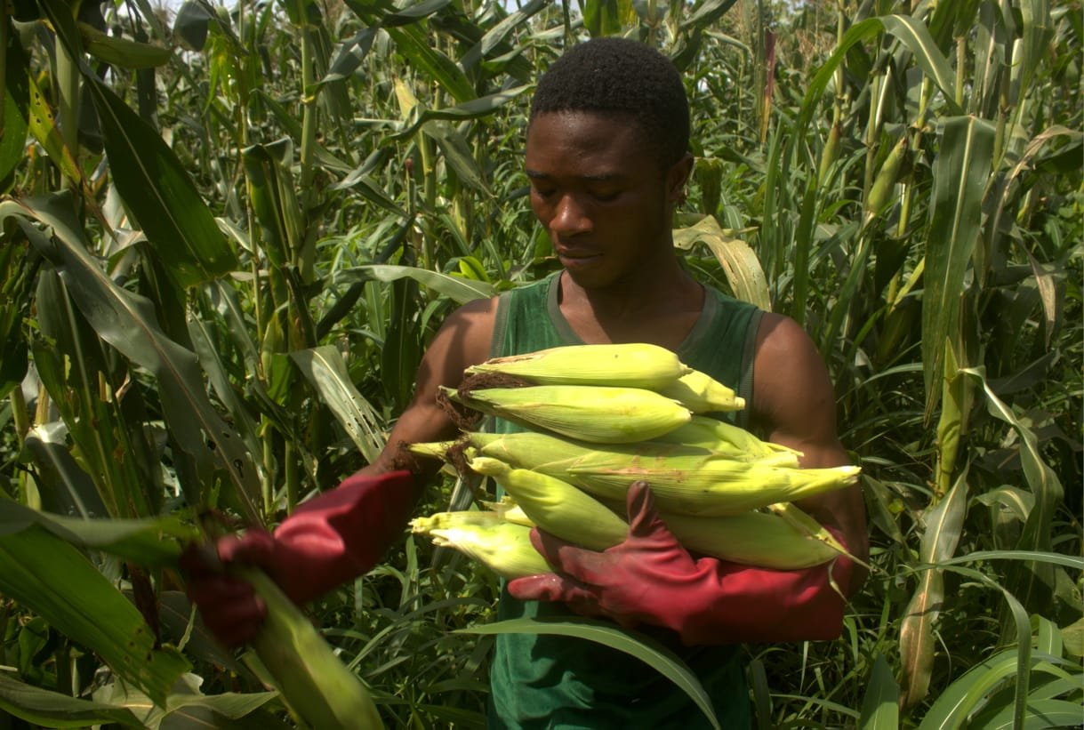 ๐ฅรU๐ฆ๐ฆ๐๐ฅ ๐ฆ๐ ๐๐๐ ๐ฃ๐๐๐ก๐ ๐๐ ๐ ๐ร๐ฆ : ๐๐๐ฆ ๐๐ร๐ฆ ๐๐จ ๐ฆ๐จ๐๐ร๐ฆ maรฏs 4 ok