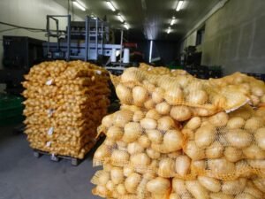 À Km36, une chambre froide solaire réduit les pertes agricoles et booste la production