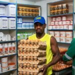 Excellence Avicole chez Foods Access Guinée photos et officine véterinaire médicament