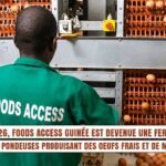 +80 000 poules pondeuses : quelle contribution ร la sรฉcuritรฉ alimentaire en Guinรฉe ? foods access et ses 80.000
