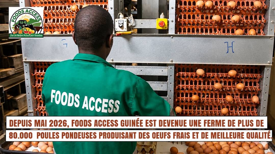 foods access et ses 80.000