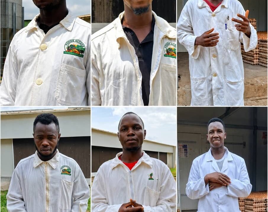 De la formation académique au terrain : cinq jeunes diplômés se perfectionnent chez Foods Access Guinée