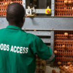 Guinée : l’aviculture peut-elle devenir le moteur de l’autosuffisance alimentaire ? 1778100784987