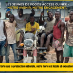 Notre avenir, notre engagement : la jeunesse à l'action chez Foods Access Guinée affiche stagiaire ok
