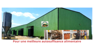 Agriculture et aviculture en Guinée : transformer un fort potentiel en moteur de développement durable