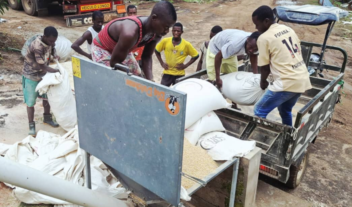 Chaque lundi, une équipe se mobilise pour nourrir la Guinée
