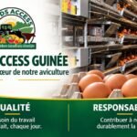 affiche pro foods access solidarité.web