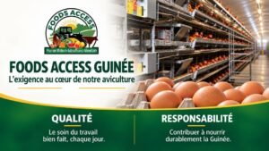 Foods Access Guinée exprime sa solidarité aux sinistrés des inondations à Coyah