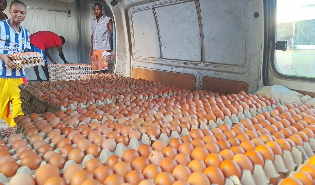 141 œufs en 8 minutes : L&rsquo;histoire folle qui fait rire toute l&rsquo;équipe de Foods Access Guinée